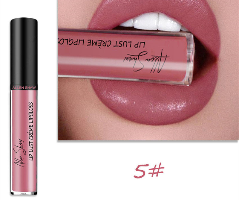 Silky Cream Texture Lip Gloss Aliexpress Shopee Cross-Border Exclusive Lip Glaze Lip Gloss Lipstick.