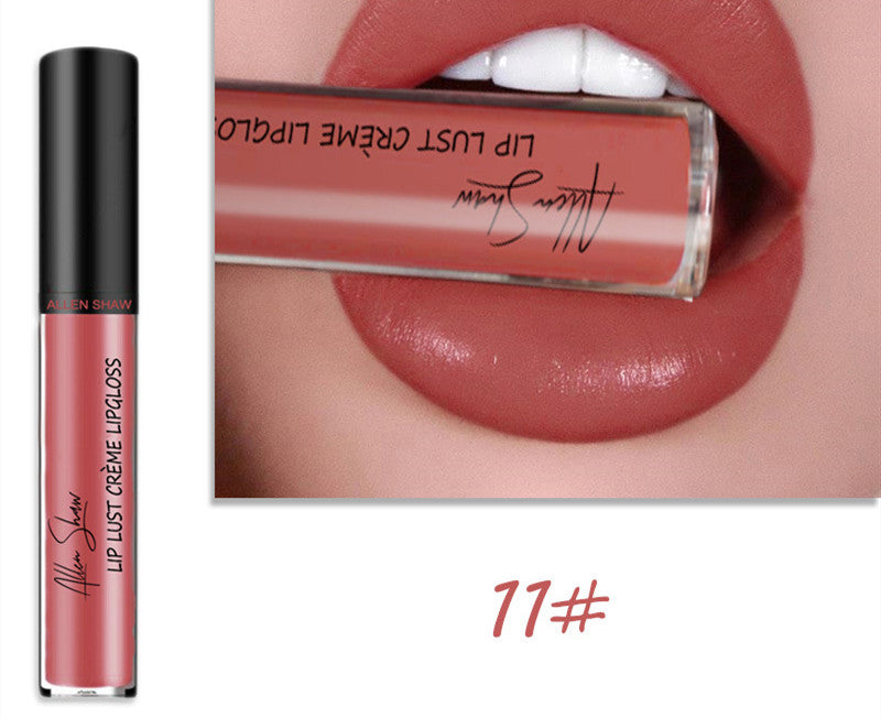 Silky Cream Texture Lip Gloss Aliexpress Shopee Cross-Border Exclusive Lip Glaze Lip Gloss Lipstick.